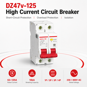 DZ47v-125 High Current Circuit Breaker MCB
